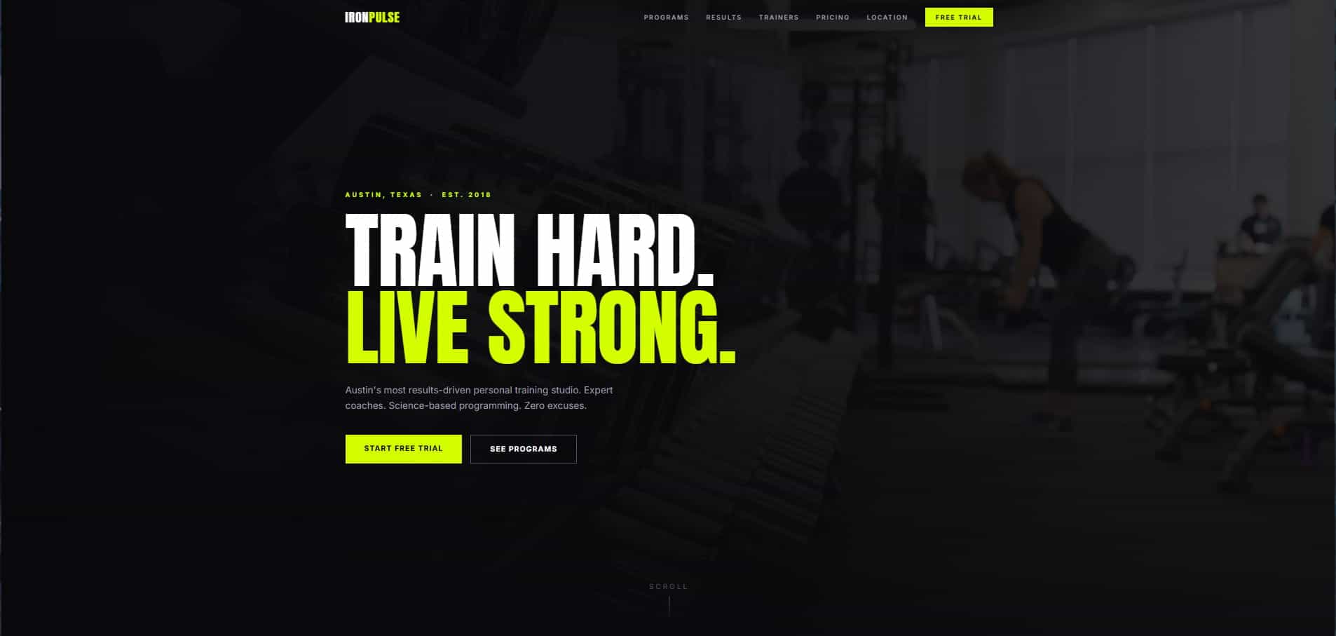 IRONPULSEのサイトスクリーンショット